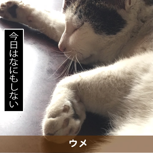 20180410_touko.jpg