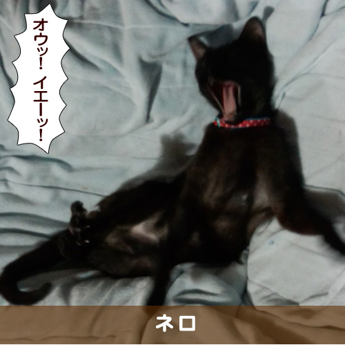20180411_touko.jpg