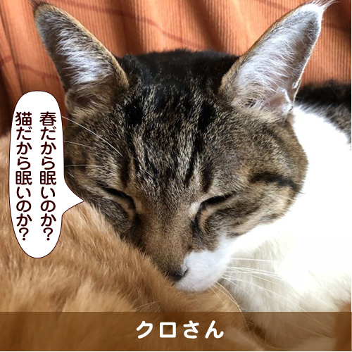 20180413_touko.jpg