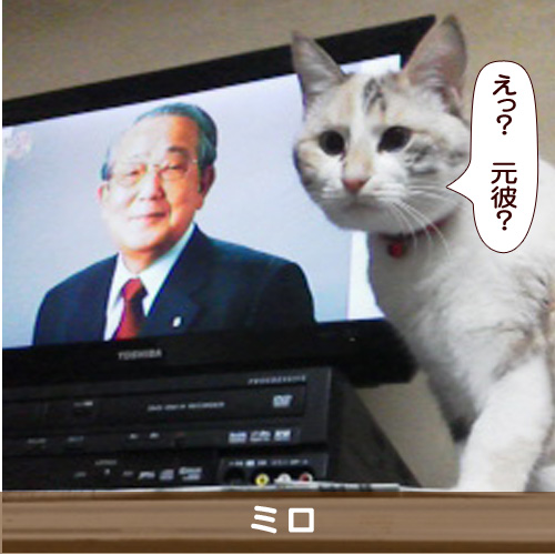 20180415_touko.jpg