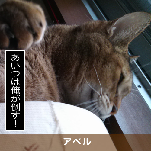 20180430_touko.jpg