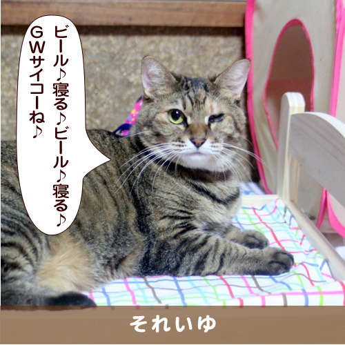 20180503_touko.jpg