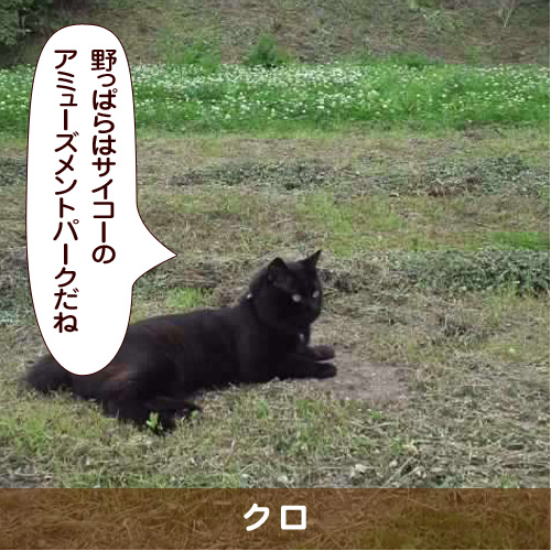 20180504_touko.jpg