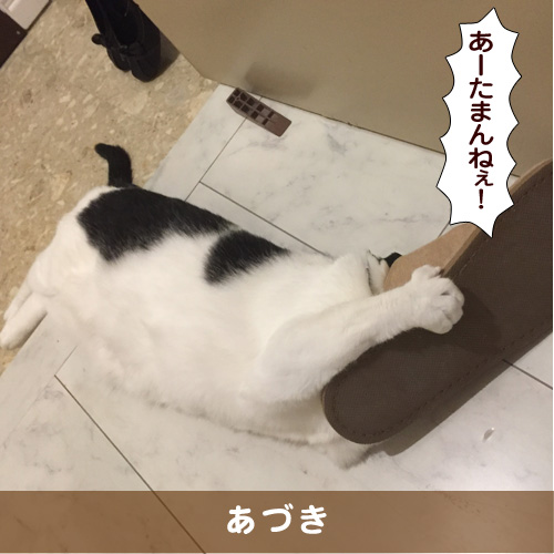 20180505_touko.jpg