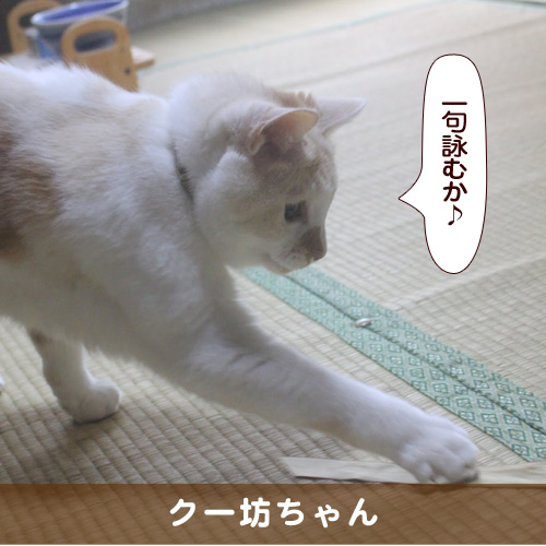 20180506_touko.jpg