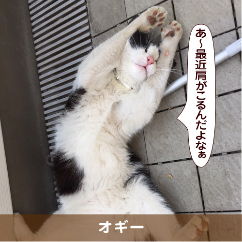 20180507_touko.jpg