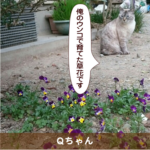 20180508_touko.jpg
