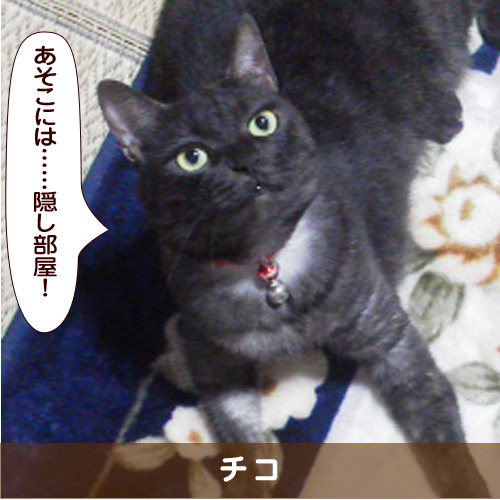 20180510_touko.jpg