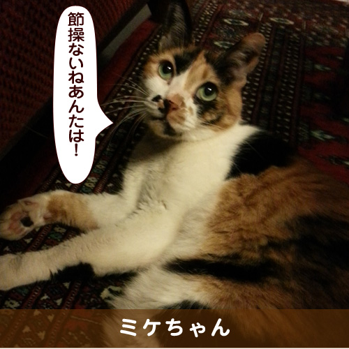 20180512_touko.jpg
