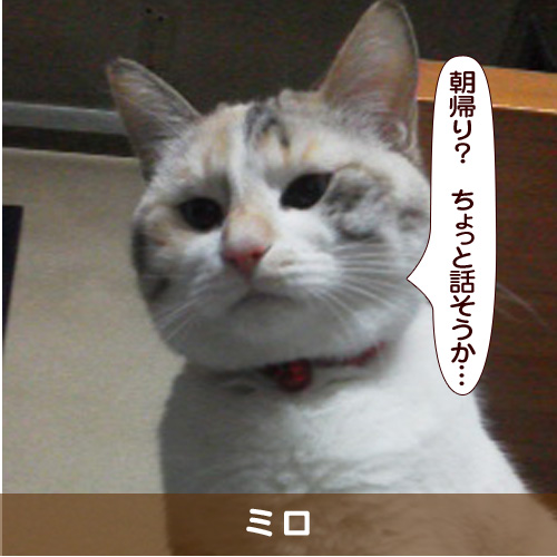 20180514_touko.jpg