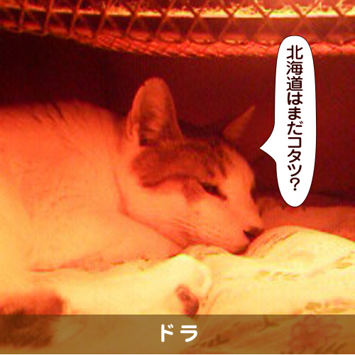 20180515_touko.jpg