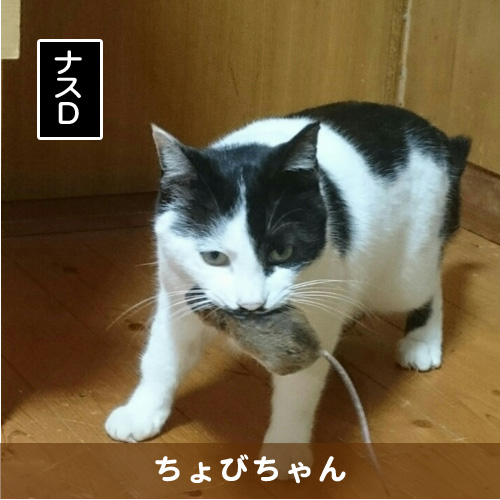 20180516_touko.jpg