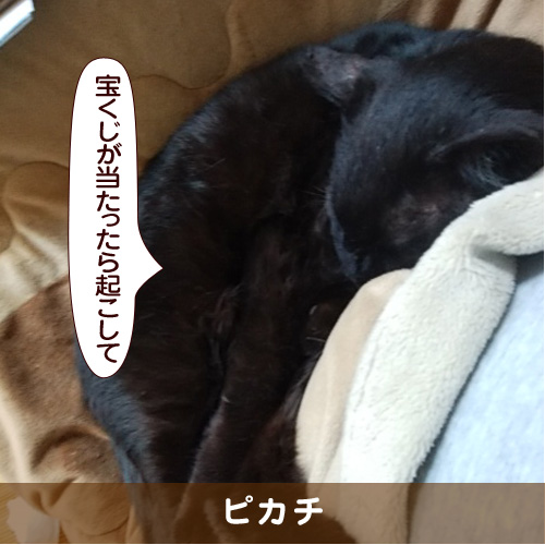20180517_touko.jpg