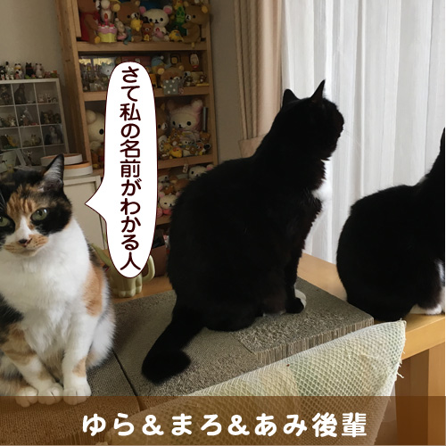 20180629_touko.jpg