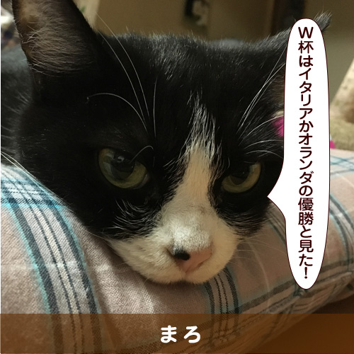 20180701_touko.jpg