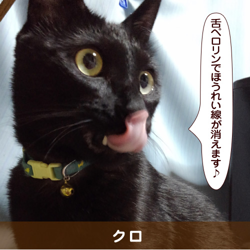 20180702_touko.jpg