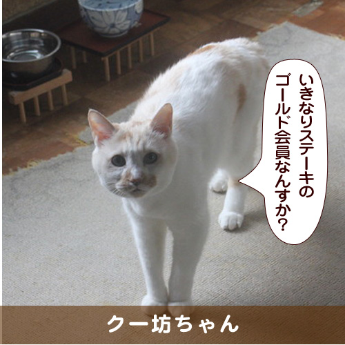 20180704_touko.jpg