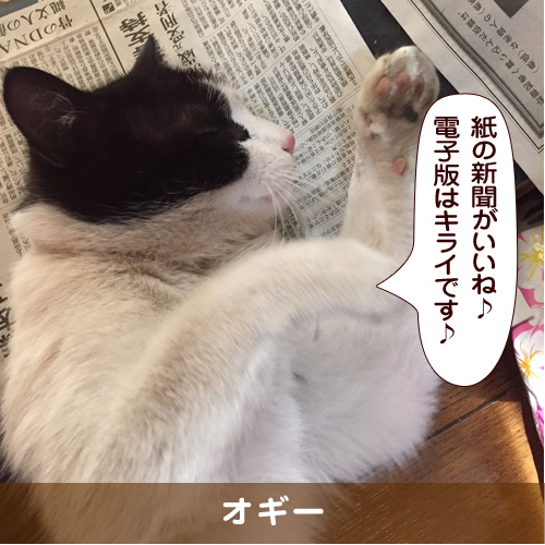 20180705_touko.jpg