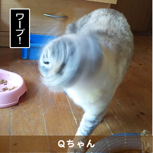 20180706_touko.jpg