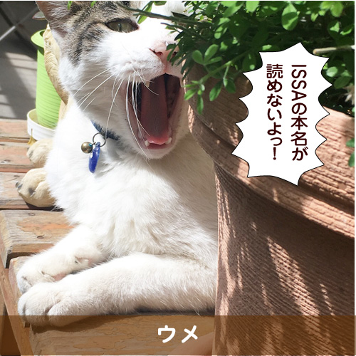 20180707_touko.jpg