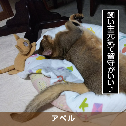 20180708_touko.jpg