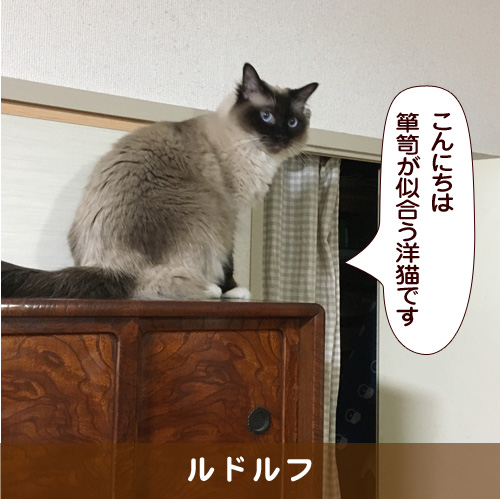 20180710_touko.jpg