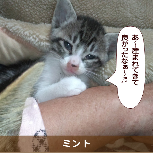 20180712_touko.jpg
