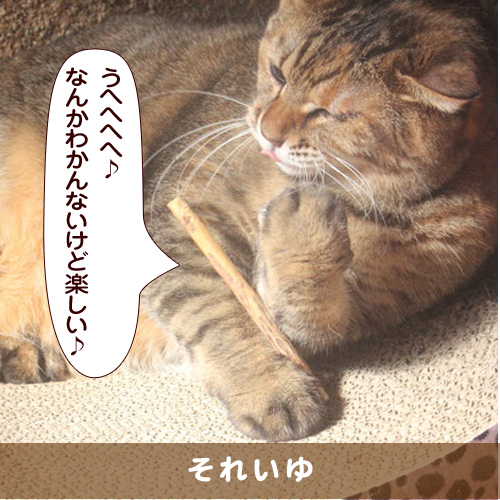 20180715_touko.jpg