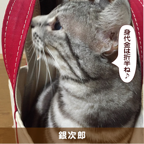 20180717_touko.jpg