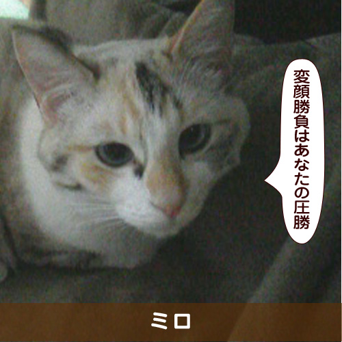 20180718_touko.jpg