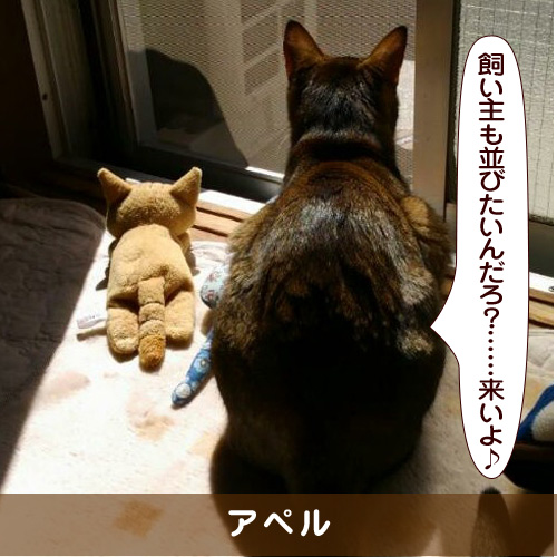 20180719_touko.jpg
