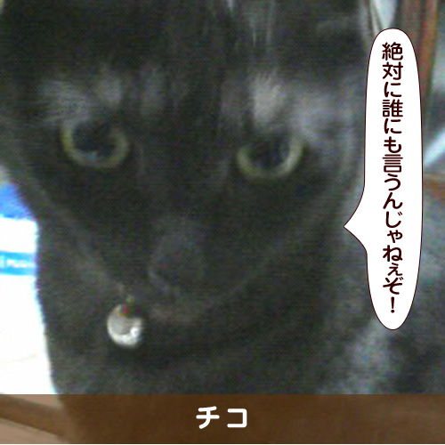 20180720_touko.jpg