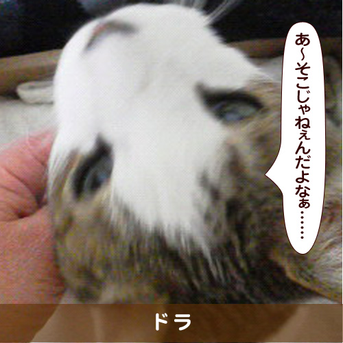 20180721_touko.jpg