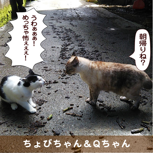 20180723_touko.jpg