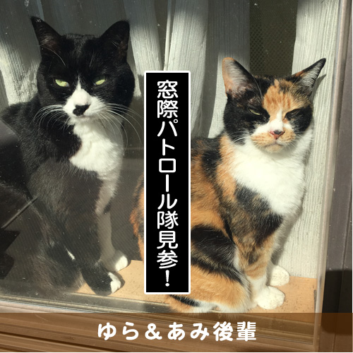 20180724_touko.jpg