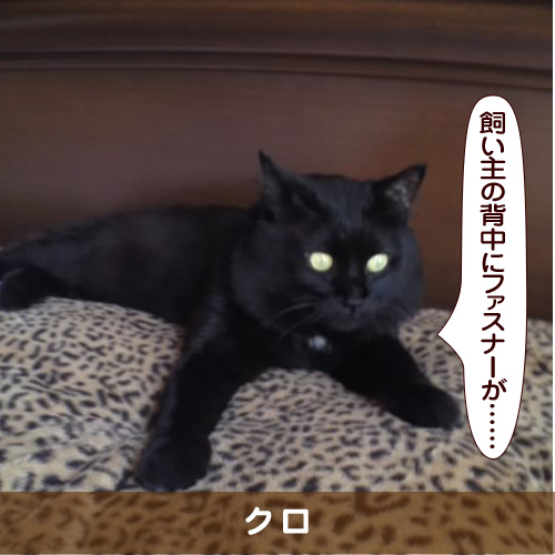 20180731_touko.jpg
