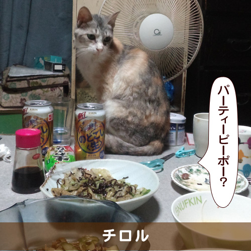 20180803_touko.jpg
