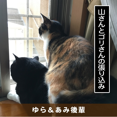 20180815_touko.jpg