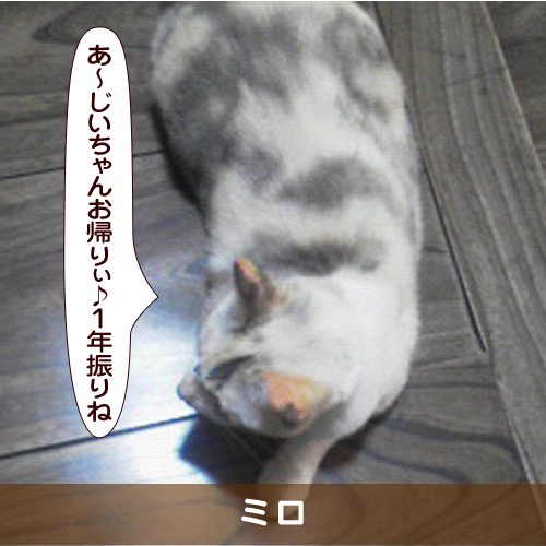 20180816_touko.jpg