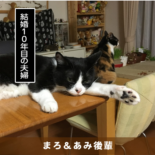 20180817_touko.jpg