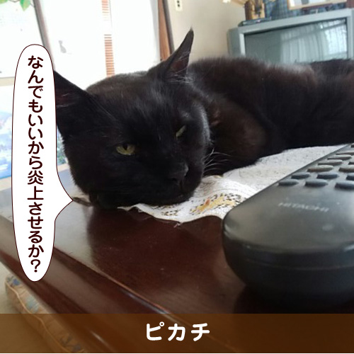 20180818_touko.jpg