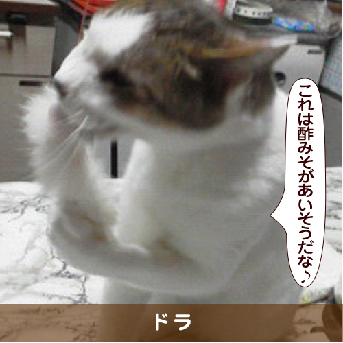 20180822_touko.jpg