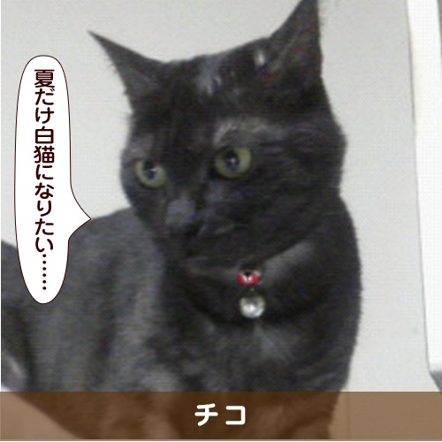 20180823_touko.jpg