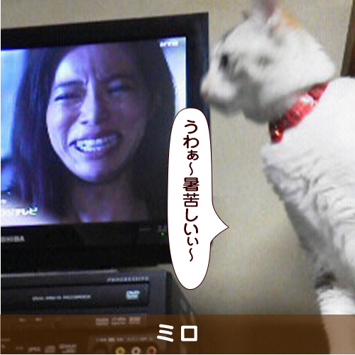 20180824_touko.jpg