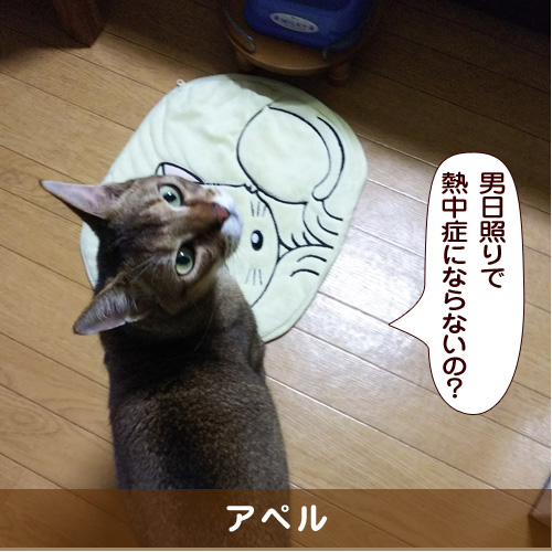 20180826_touko.jpg