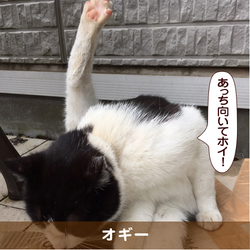 20180827_touko.jpg