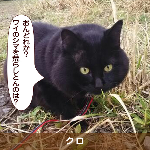 20180828_touko.jpg