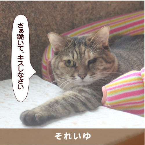 20180829_touko.jpg