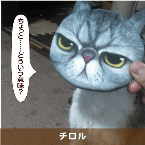 20180830_touko.jpg