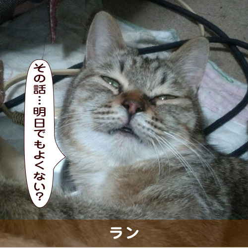20190301_touko.jpg